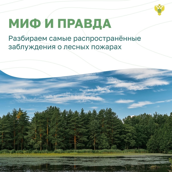 Миф и правда о пожарах