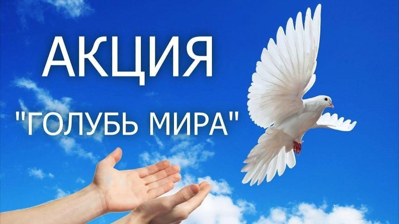 Акция "Голубь мира"