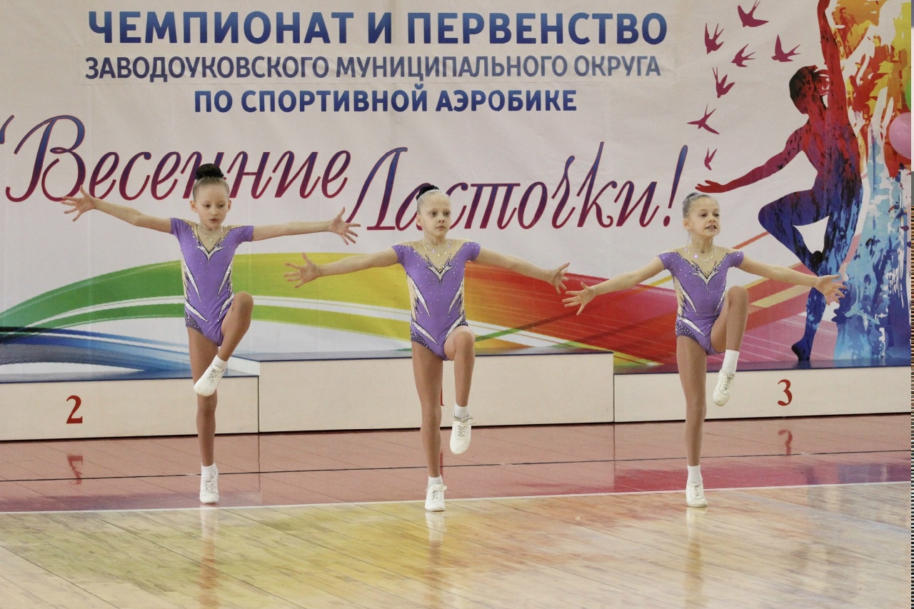 Чемпионат и первенство ЗМО по спортивной аэробике "Весенние ласточки"