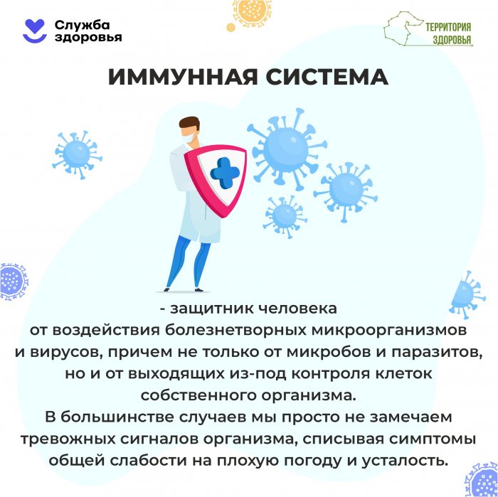 Поддержание и укрепление иммунитета