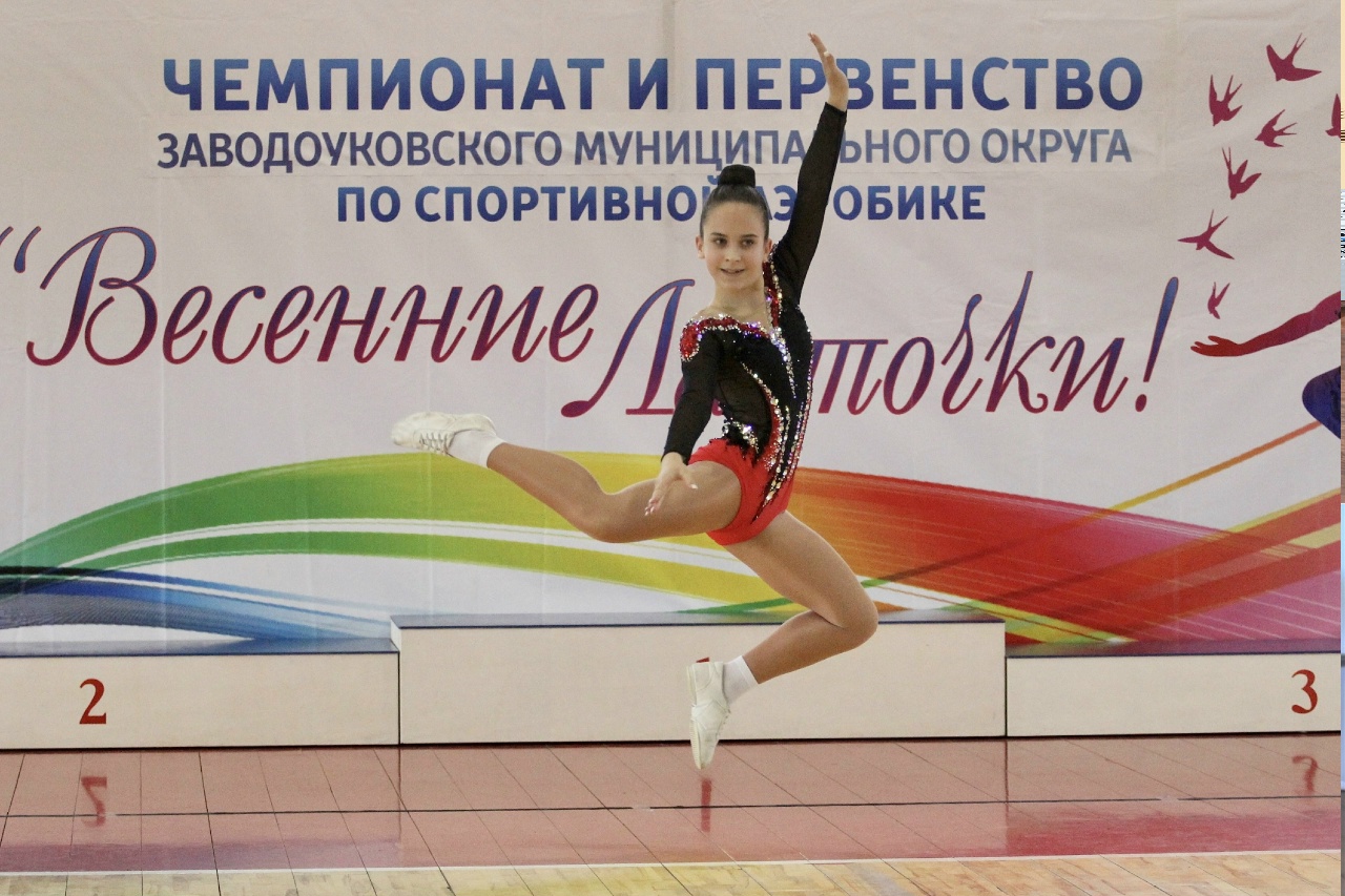 Чемпионат и первенство ЗМО по спортивной аэробике "Весенние ласточки"
