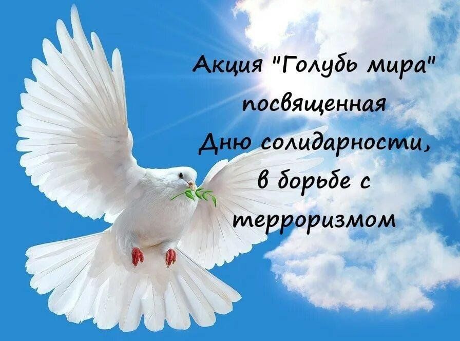 Акция "Голубь мира" Акция "Голубь мира"