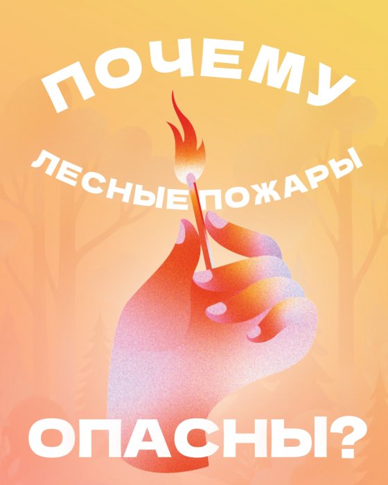 Почему опасны лесные пожары?