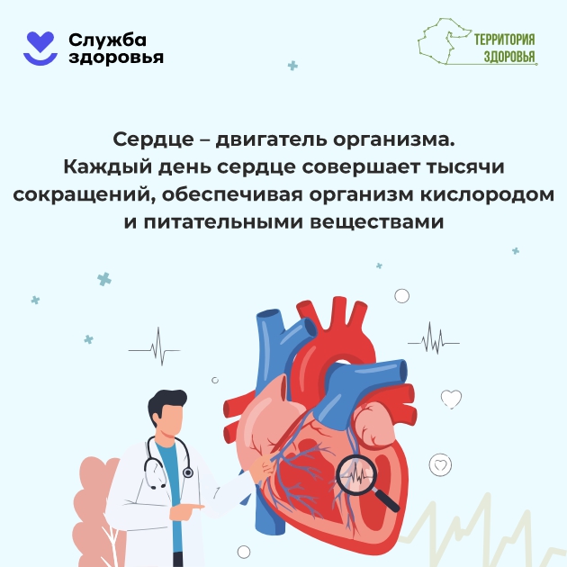Неделя ответственного отношения к сердцу с 28.09.2026 по 04.10.2026