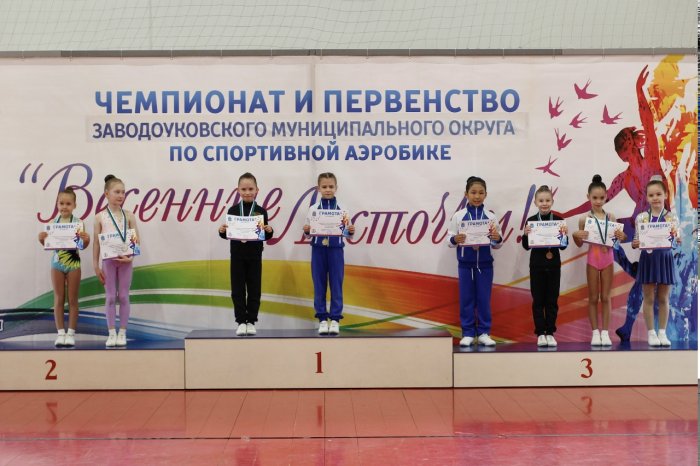 Чемпионат и Первенство ЗМО по спортивной аэробике