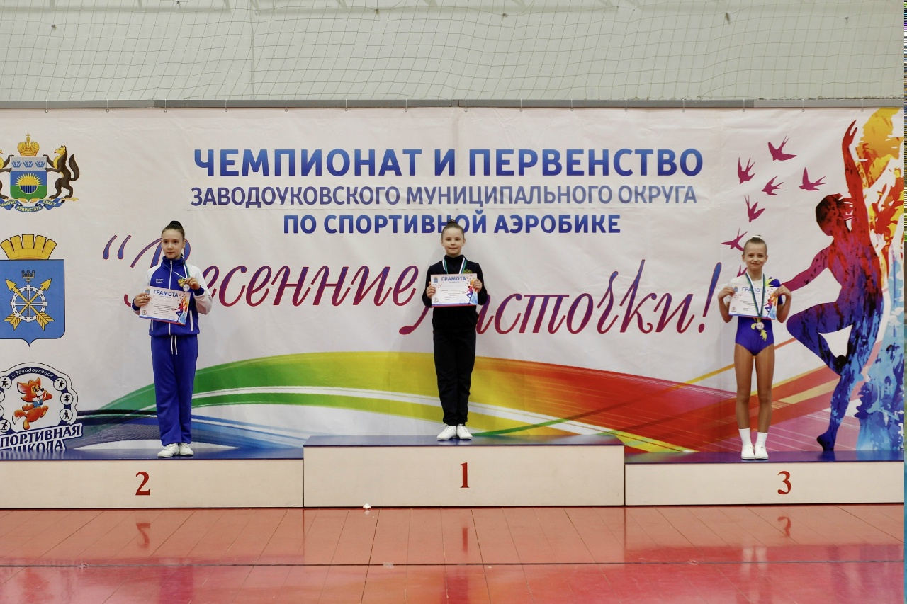 Чемпионат и Первенство ЗМО по спортивной аэробике