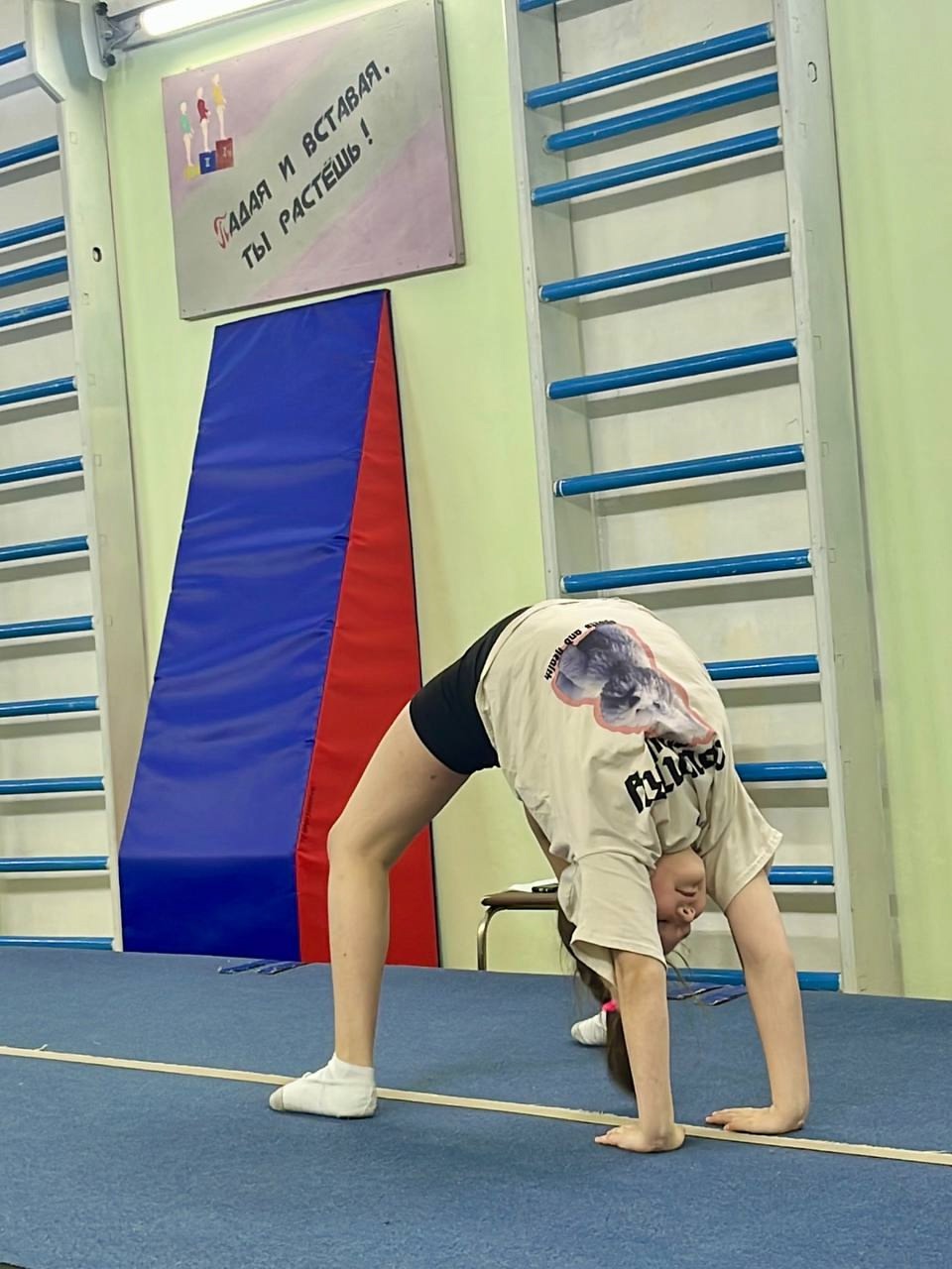 Турнир по спортивной гимнастике «Юный гимнаст» (г. Заводоуковск)