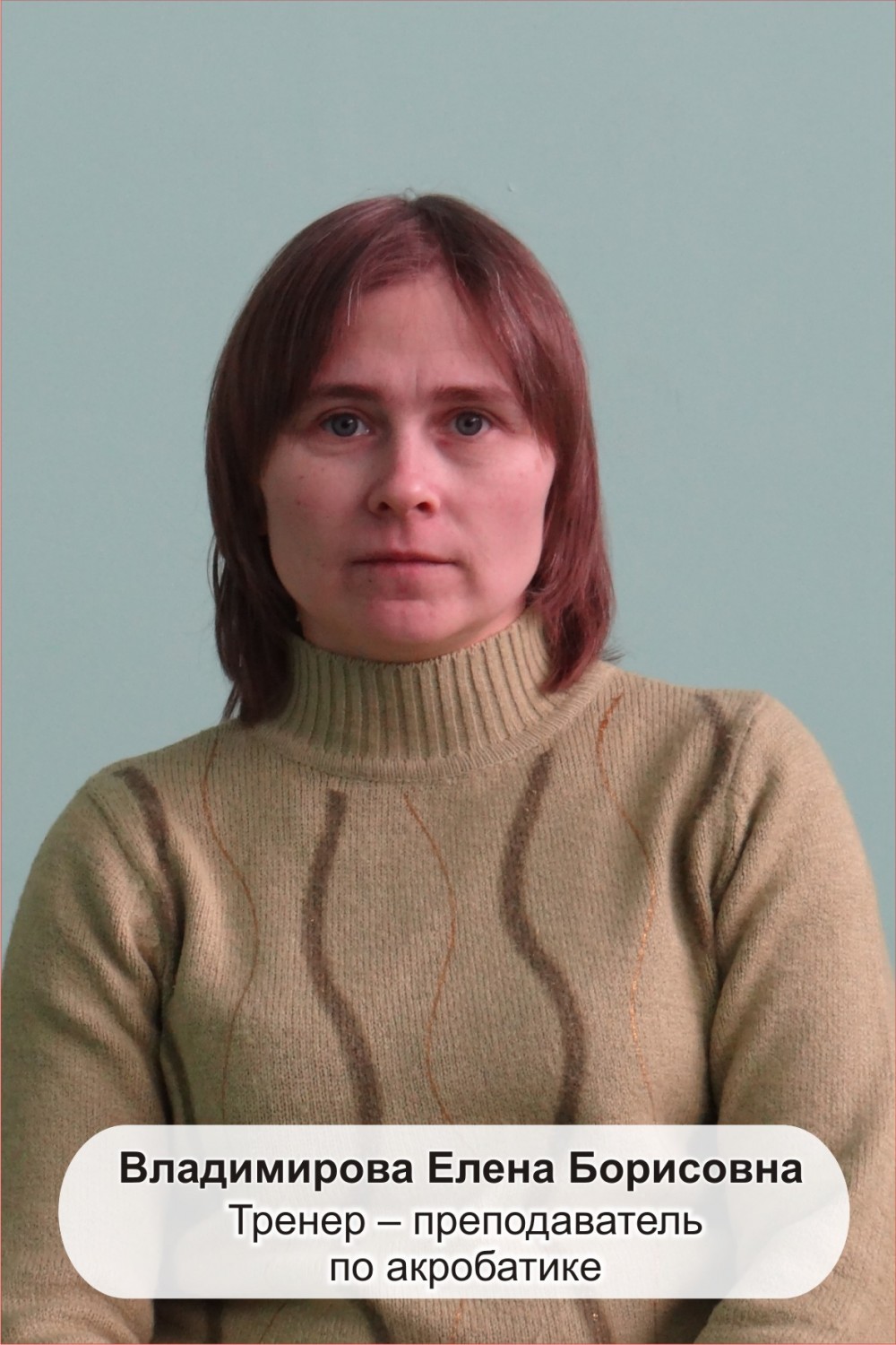 Владимирова Елена Борисовна