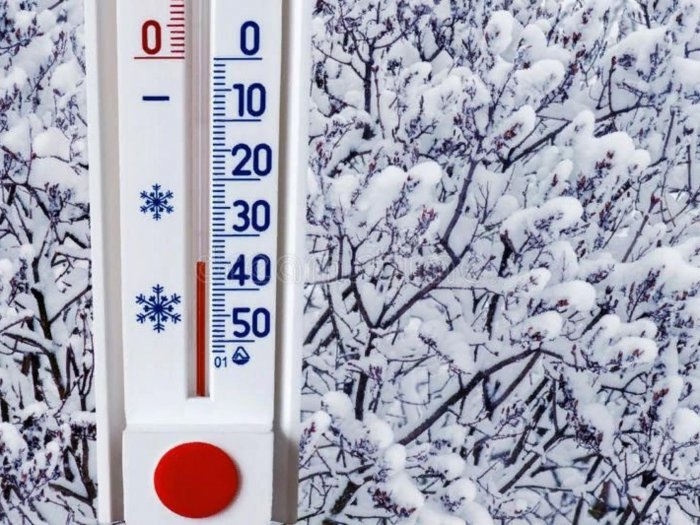 Внимание! В связи с низкой температурой воздуха каток 24 и 25 января ЗАКРЫТ! 