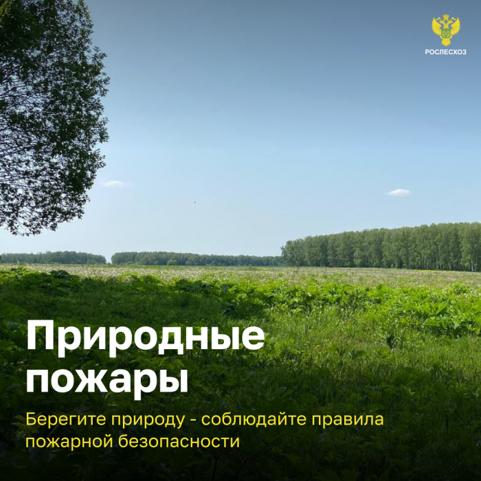 Берегите природу-соблюдайте правила пожарной безопасности