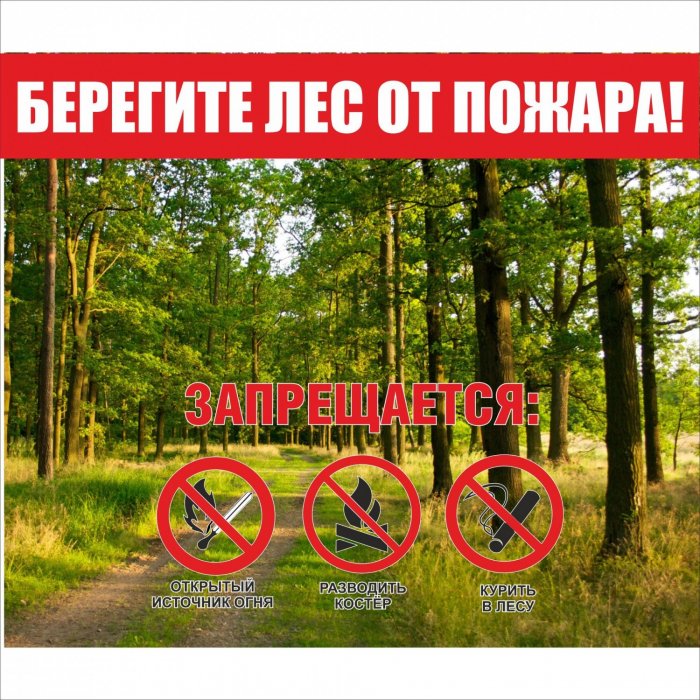 Берегите лес от пожара!