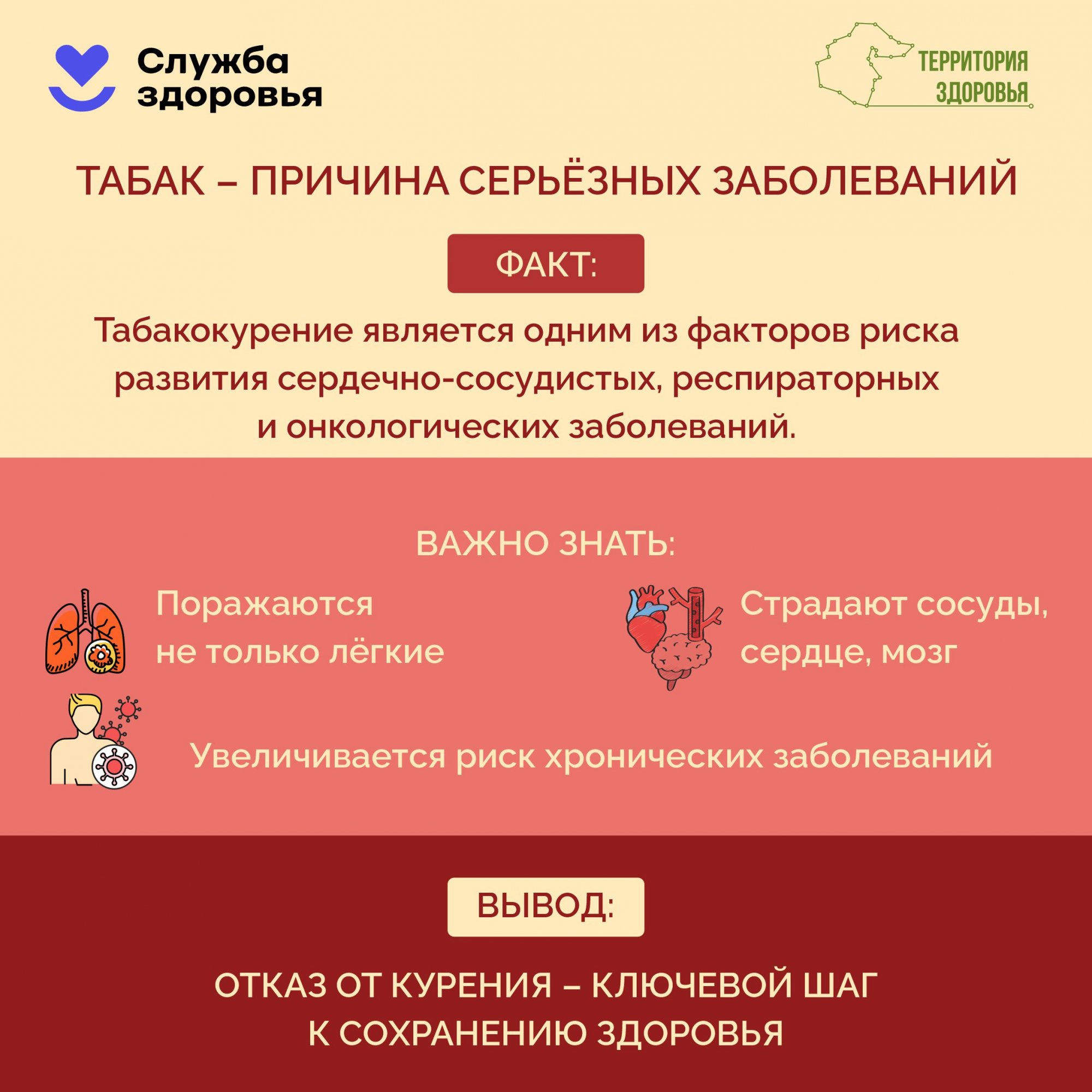 Неделя отказа от табака(25.05.2026-31.05.2026) Неделя отказа от табака(25.05.2026-31.05.2026)