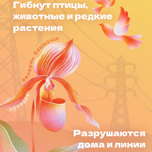 Почему опасны лесные пожары?