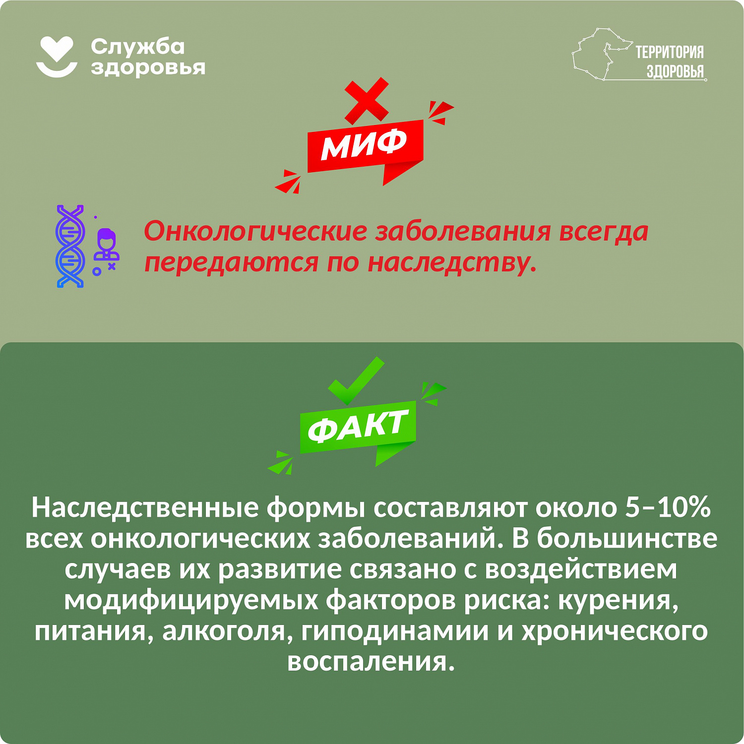 Профилактика онкологических заболеваний