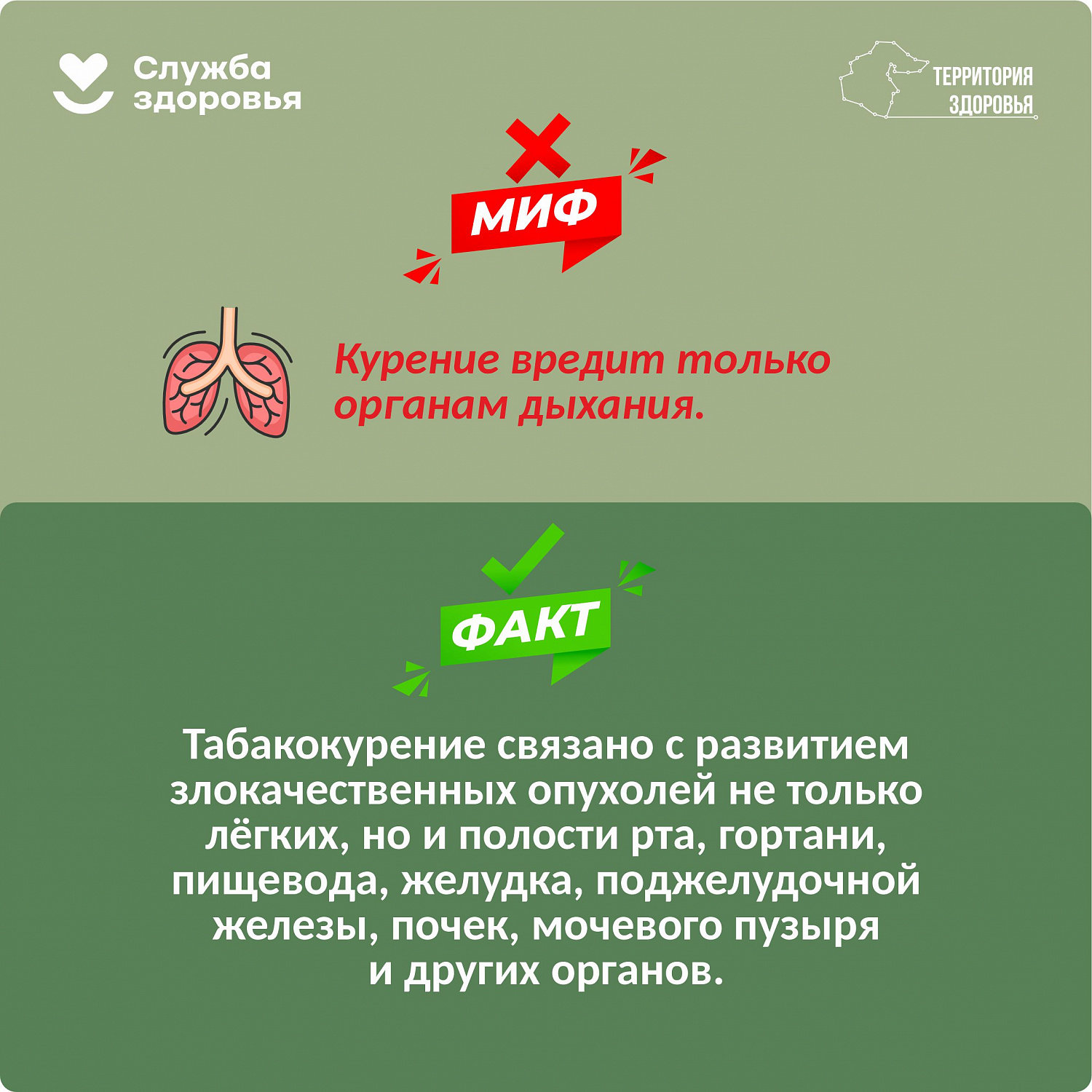 Профилактика онкологических заболеваний
