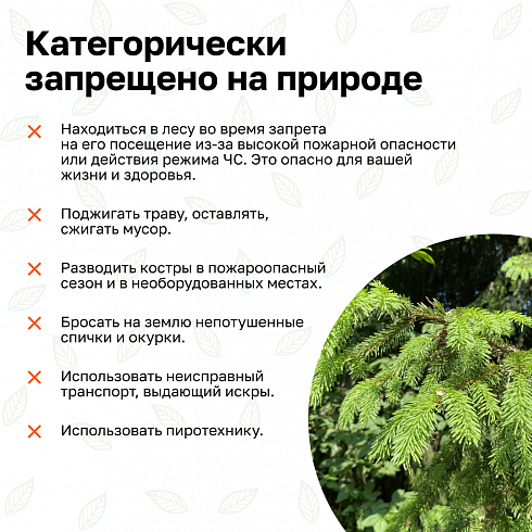Берегите природу-соблюдайте правила пожарной безопасности