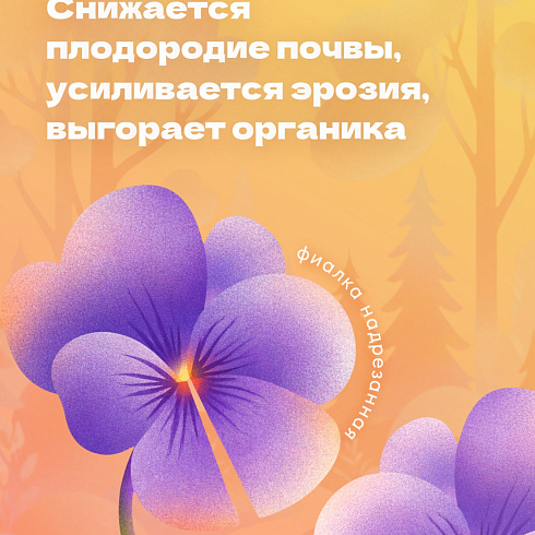 Почему опасны лесные пожары?